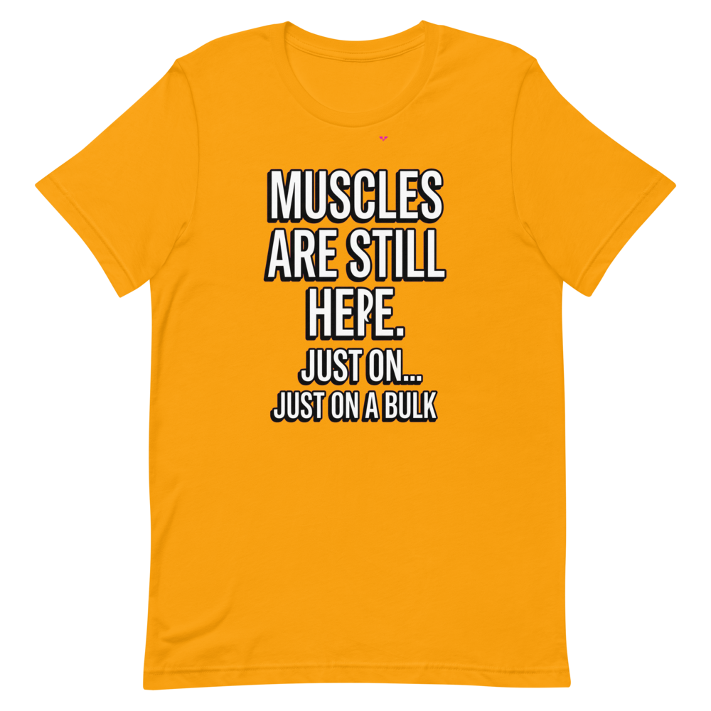 Muscles on a Break — Funny Gym Shirt for Lifters